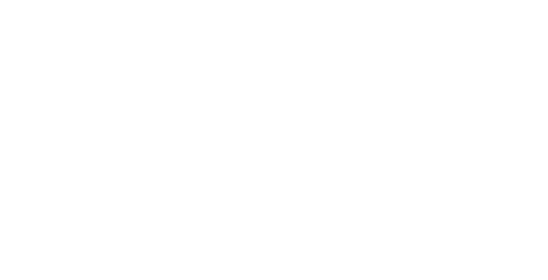 Wein Shirt Shop Logo